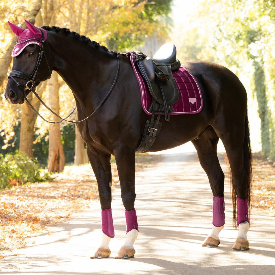 LeMieux Schabracke Loire Classic Satin Dressage Square Blackberry