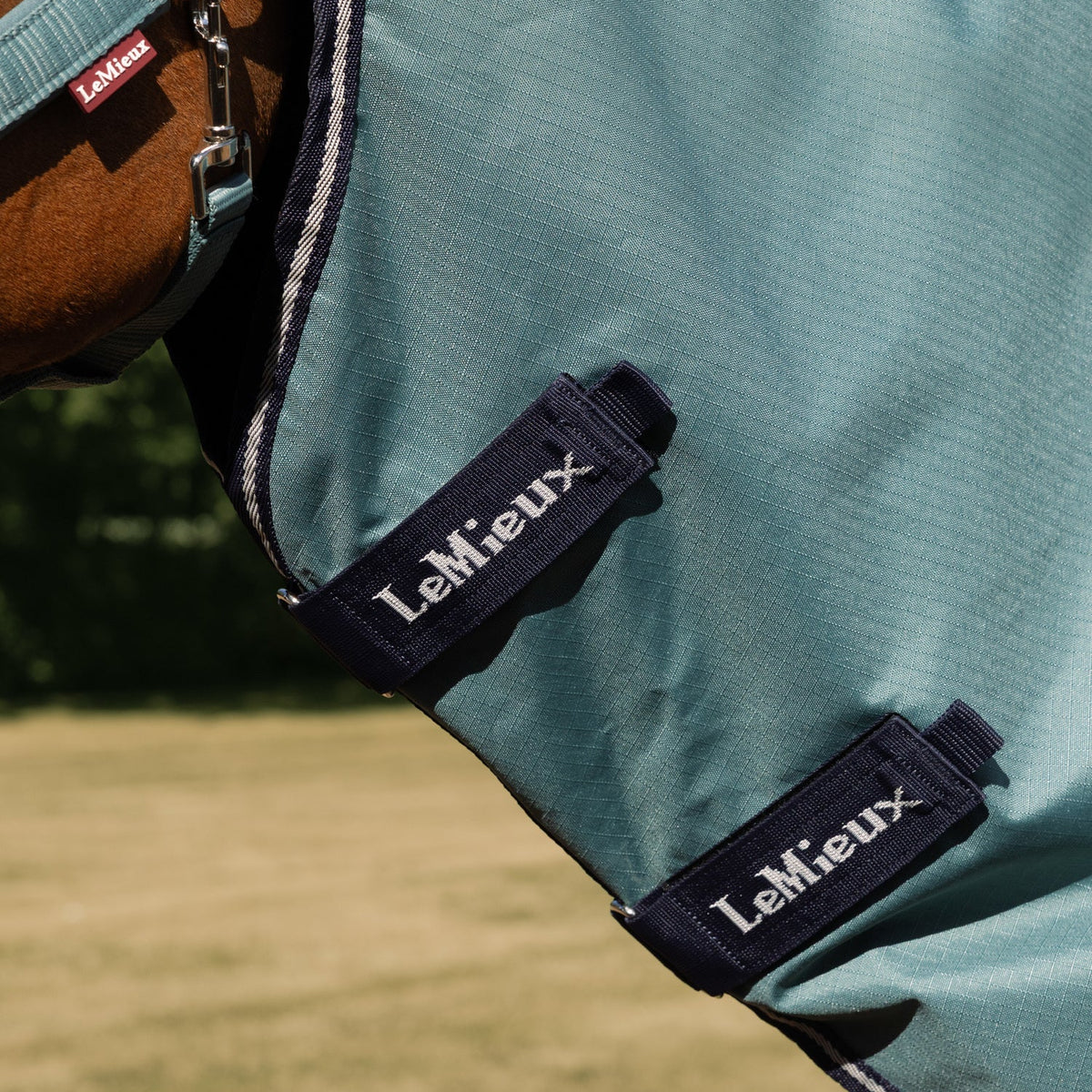 LeMieux Outdoordecke Arika Ripstop Turnout Rug mit Halsteil 200 g aloe
