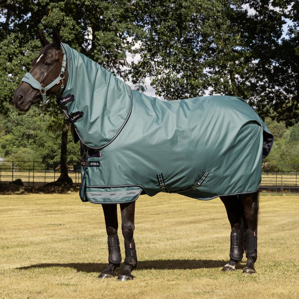 LeMieux Outdoordecke Arika Ripstop Turnout Rug mit Halsteil 100 g aloe