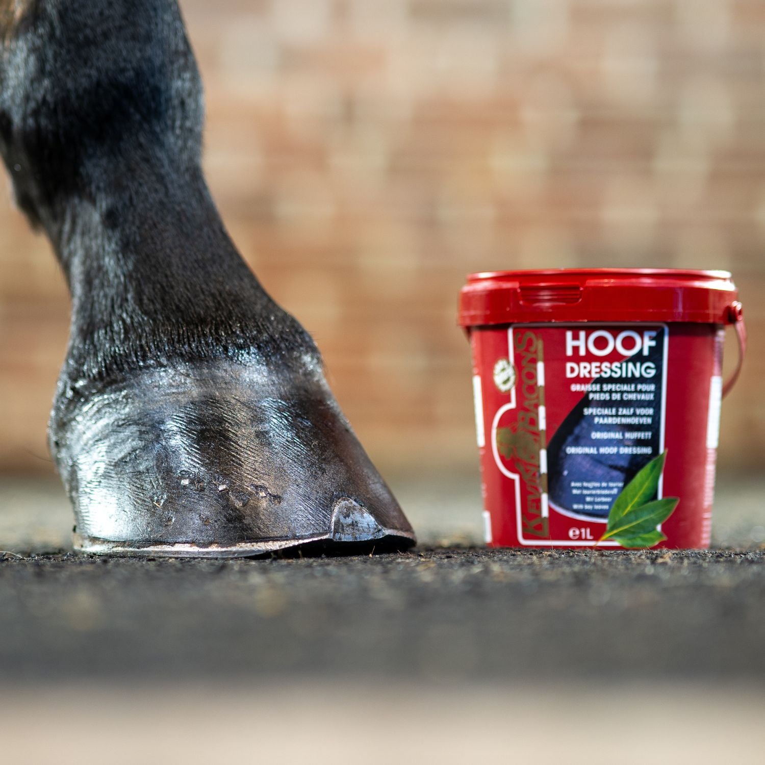 Kevin Bacon’s Hoof Dressing Black Winter Lorbeerbalsam zur Hufpflege bei niedrigen Temperaturen