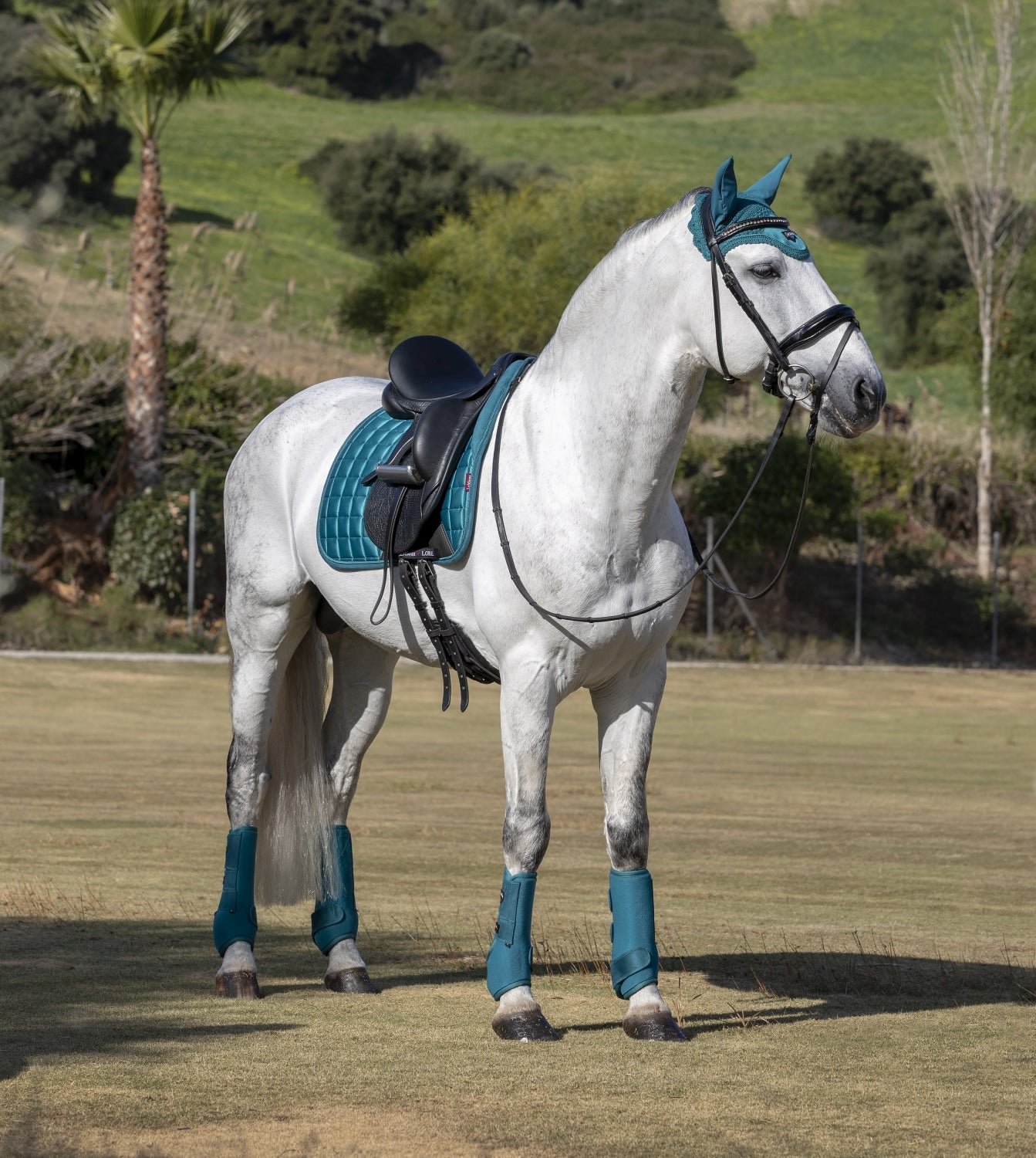 LeMieux Schabracke Loire Memory Satin Dressage Square peacock