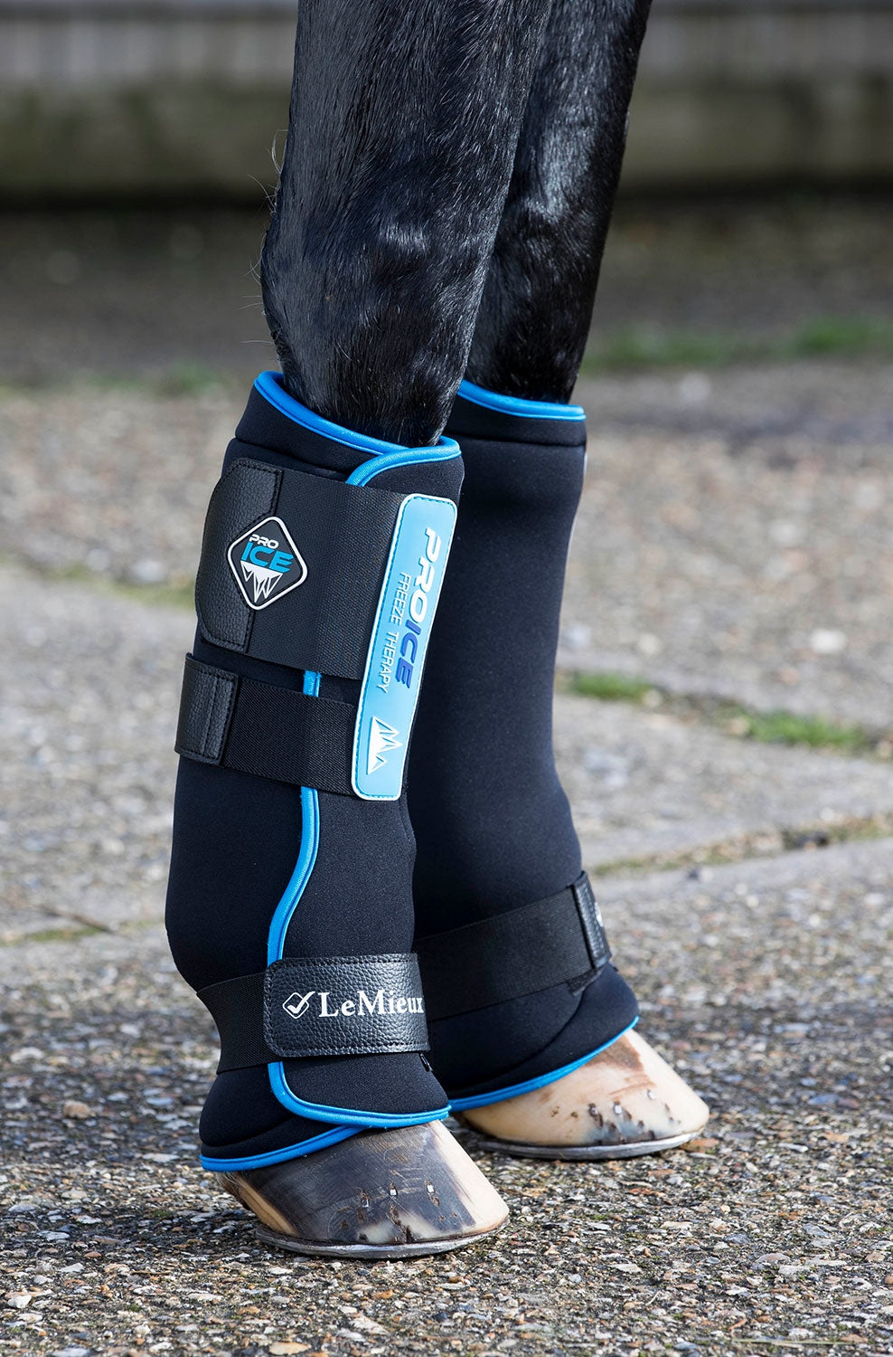 LeMieux Kühlgamaschen ProIce Freeze Therapy Boots