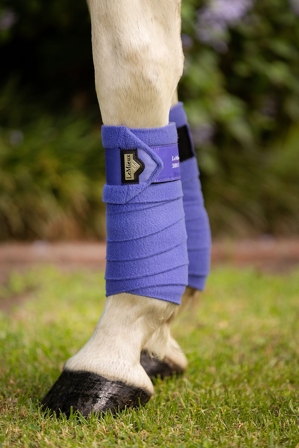 LeMieux bandages Loire Polo bluebell