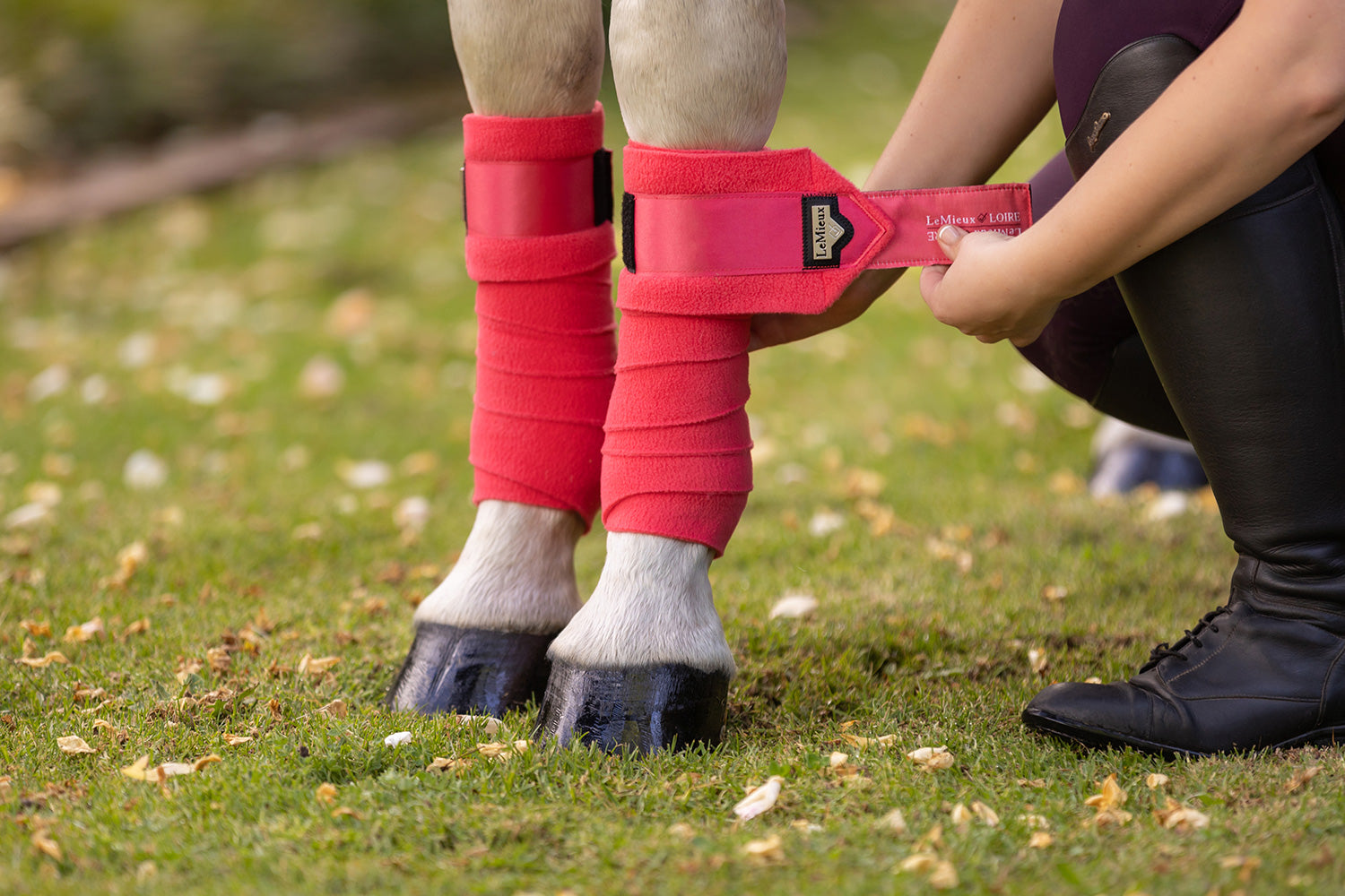 LeMieux bandages Loire Polo papaya