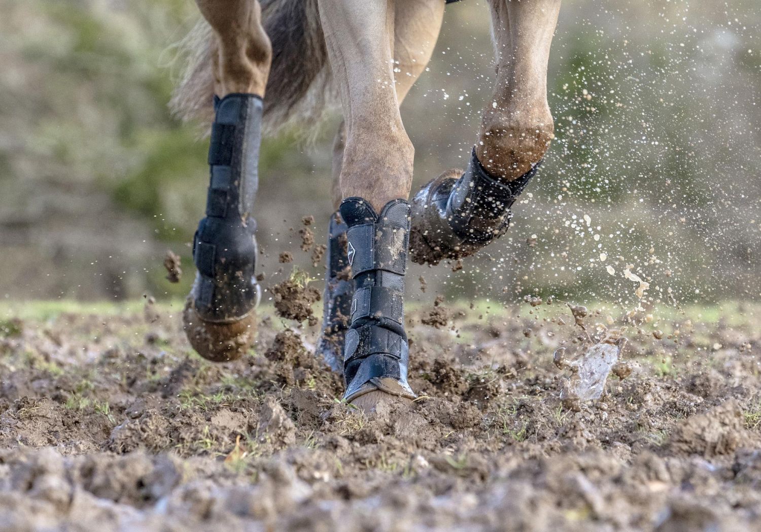 LeMieux Gamaschen Turnout Boots black