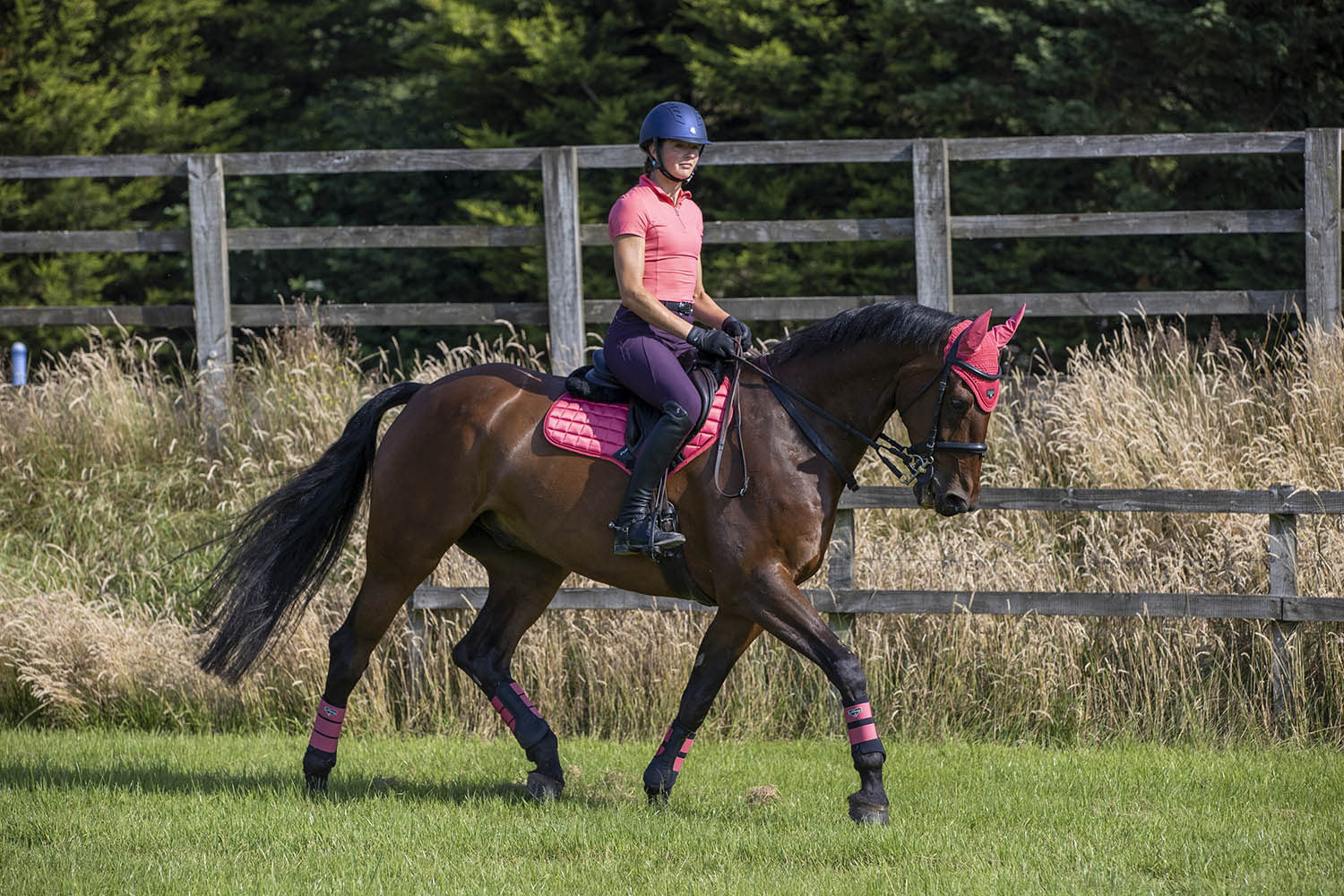 LeMieux Reithose Freya Silikonvollbesatz aubergine