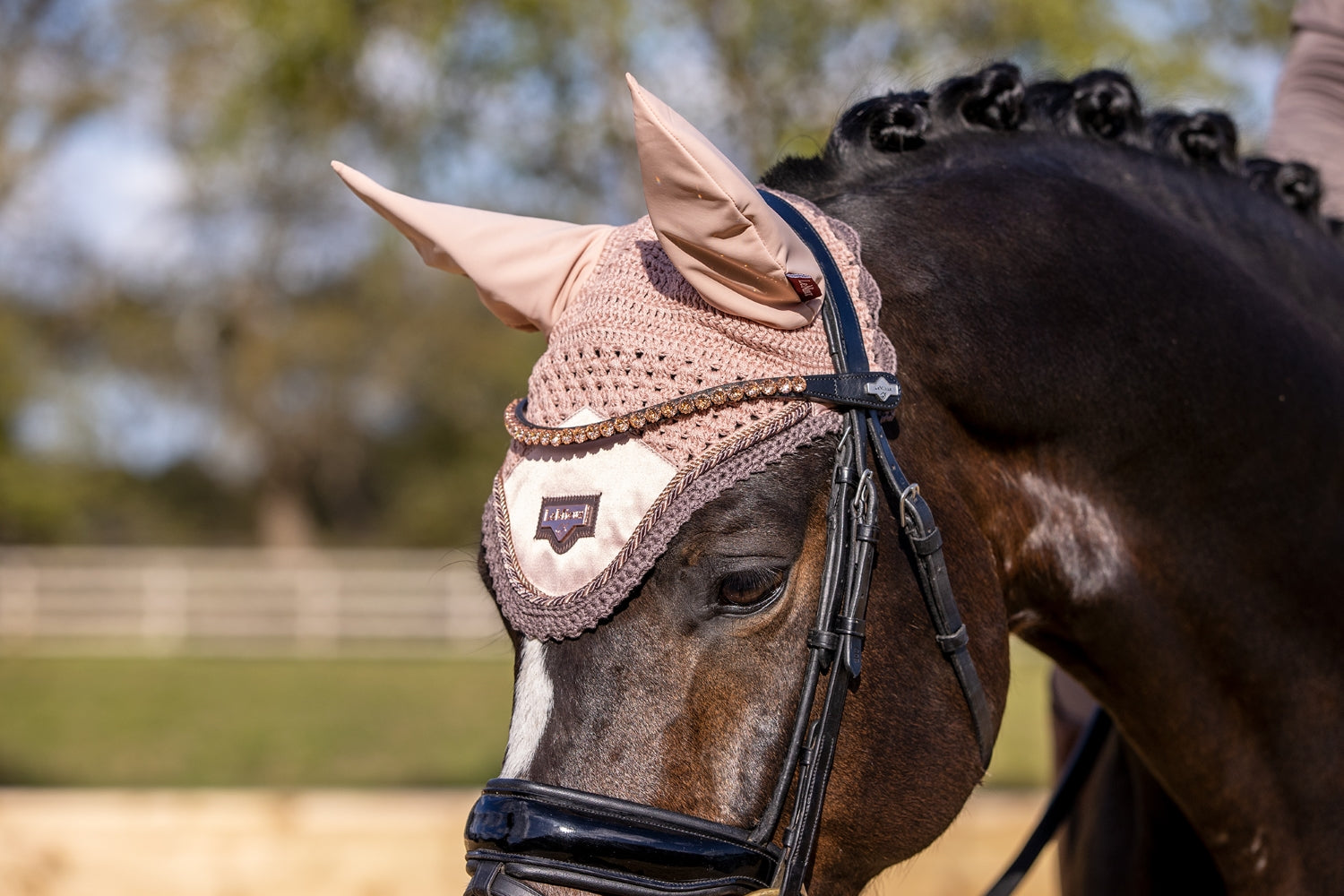 LeMieux Browband Classic Diamante rose black
