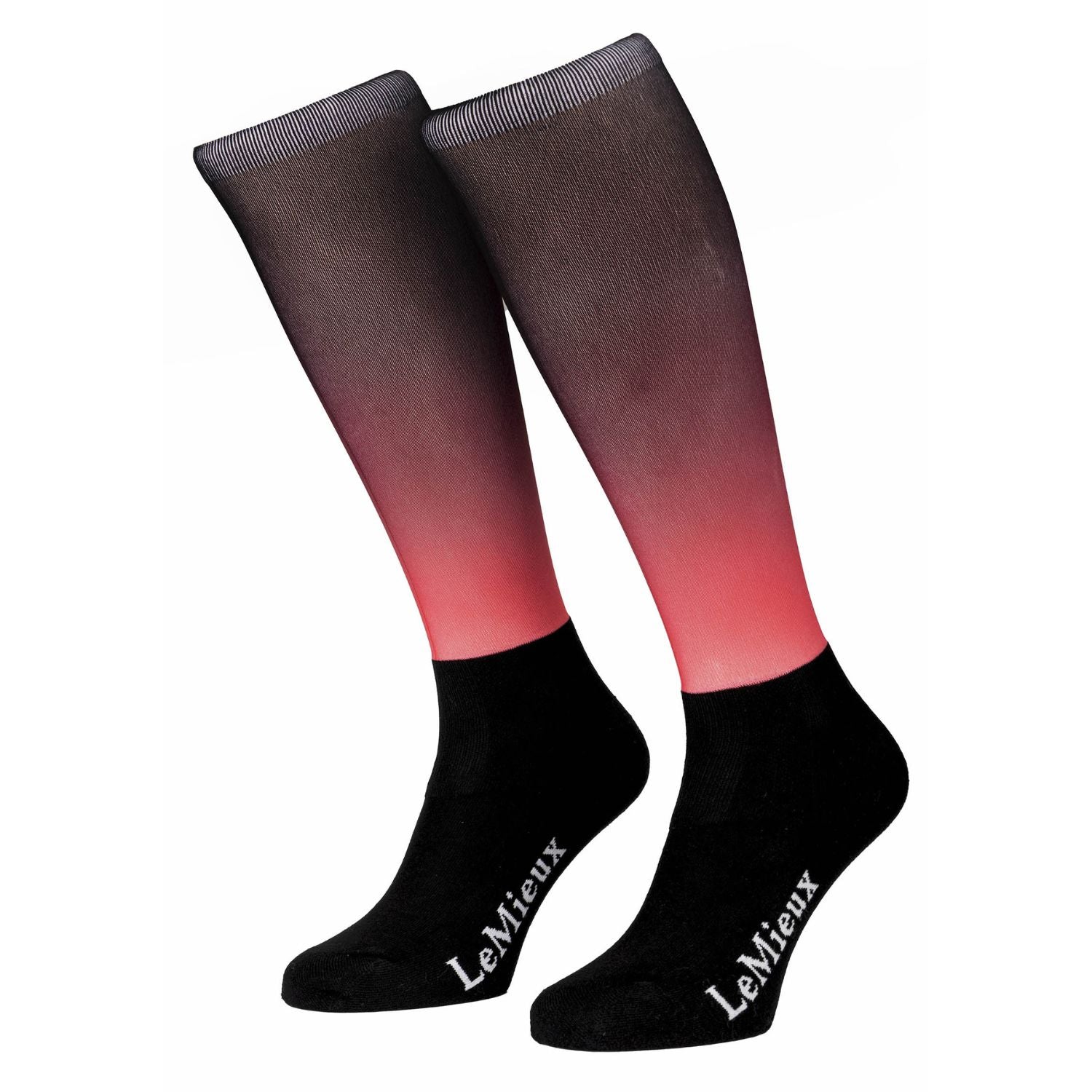 LeMieux Reitstrümpfe Spectrum aubergine papaya