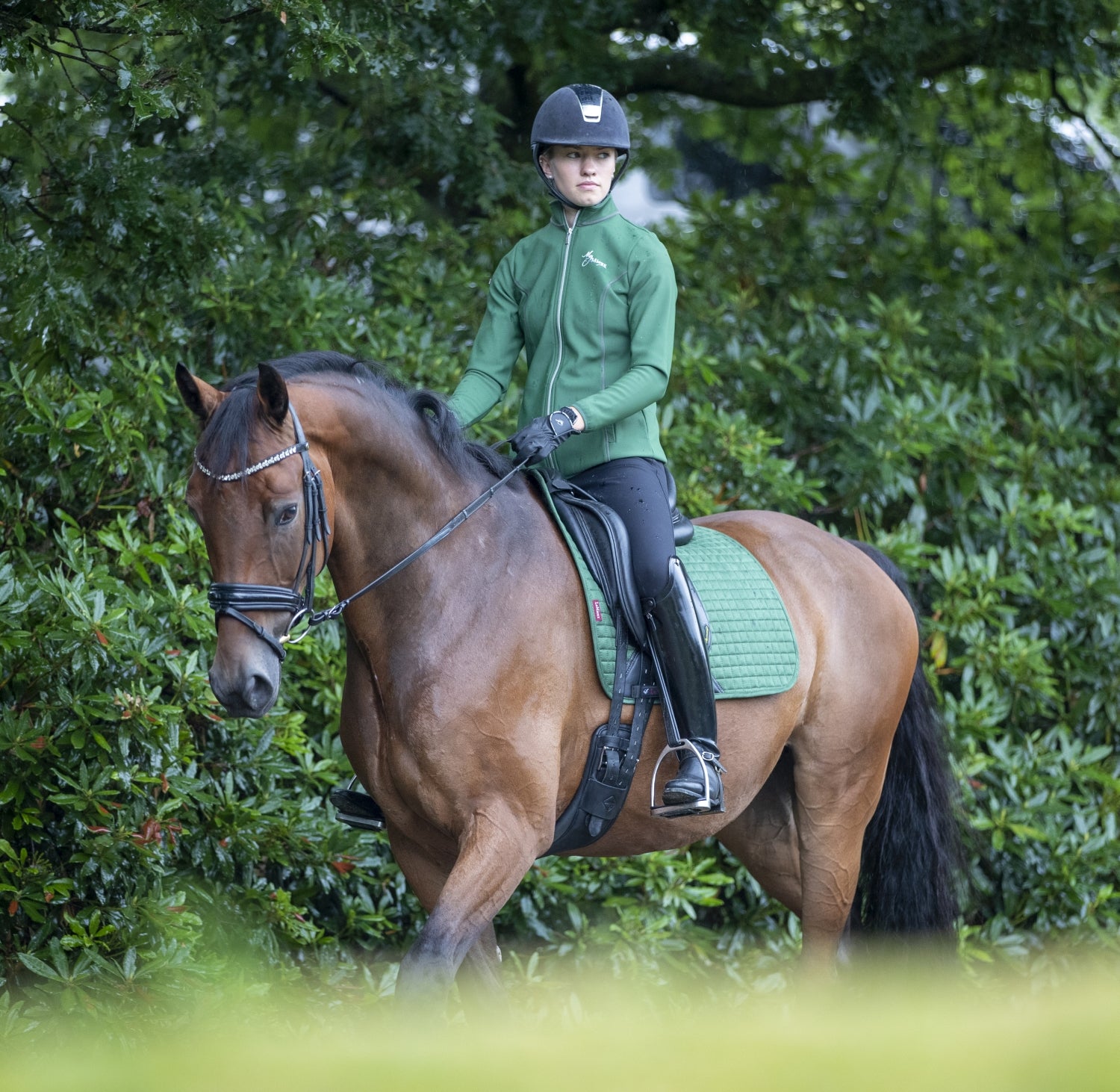 LeMieux Schabracke Luxury Suede Dressage Square hunter green