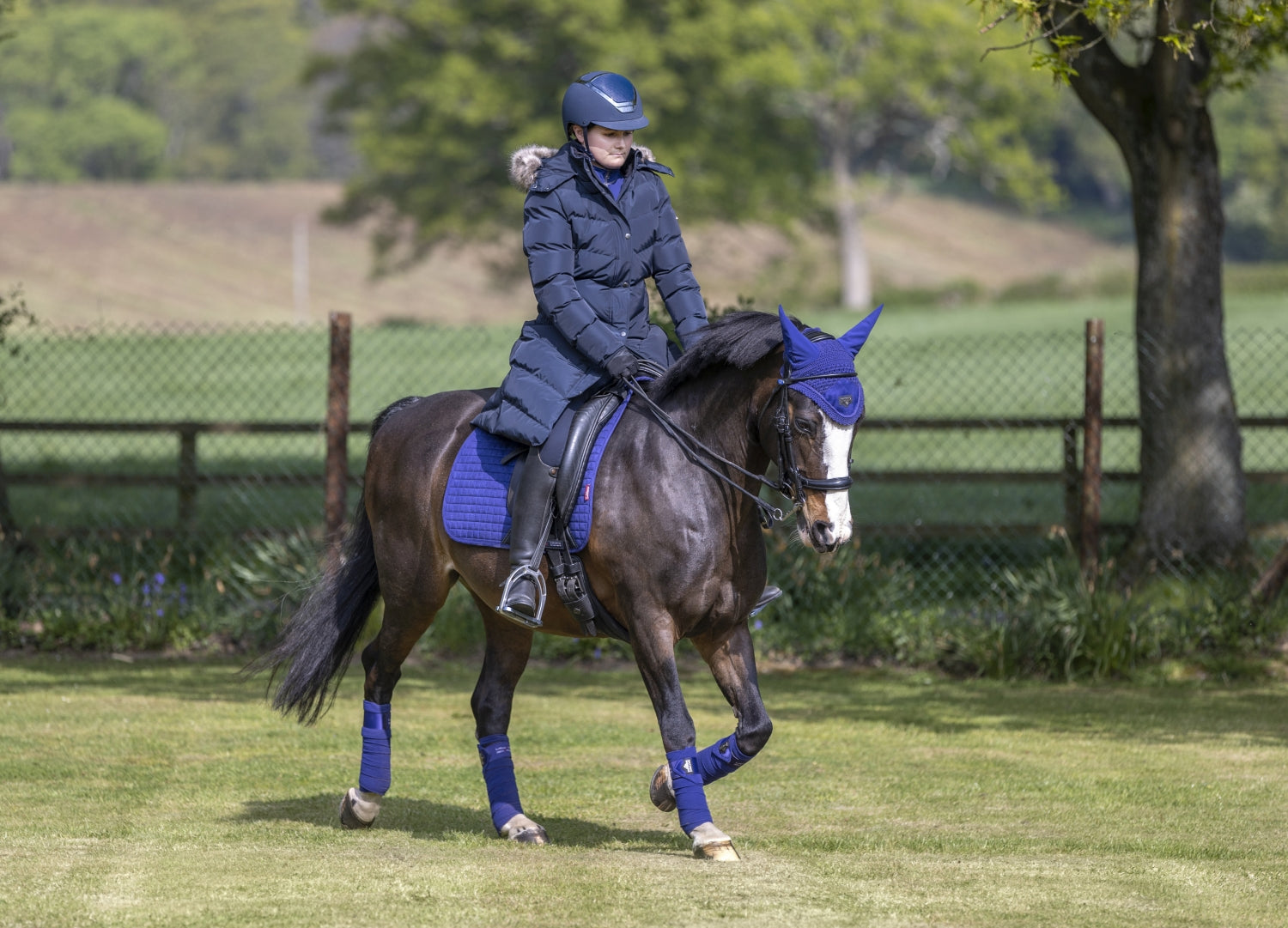 LeMieux Schabracke Luxury Suede Dressage Square ink blue