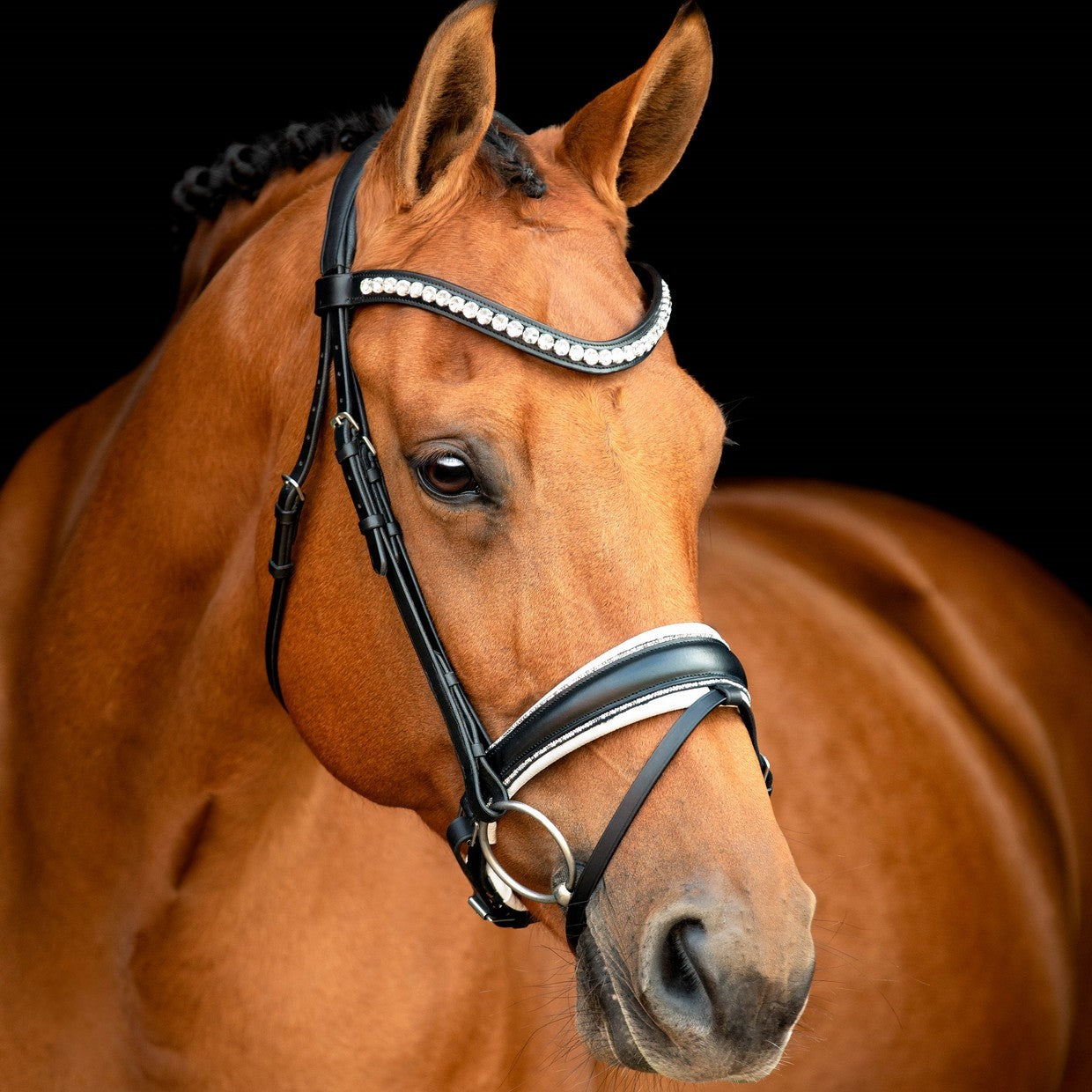 SD Design Bridle Celebrity black with crystal rocks decorative piping white lined