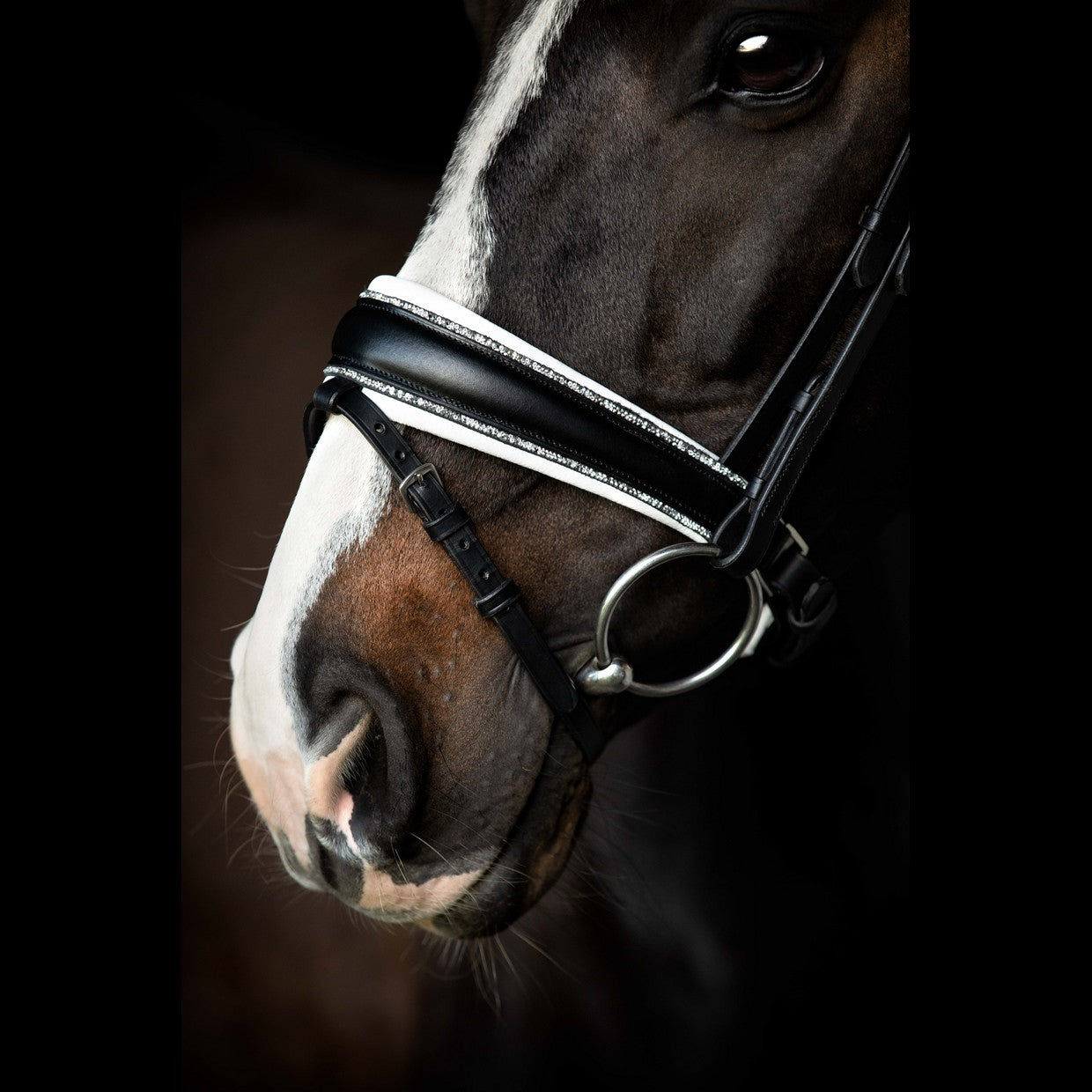 SD Design Bridle Celebrity black with crystal rocks decorative piping white lined