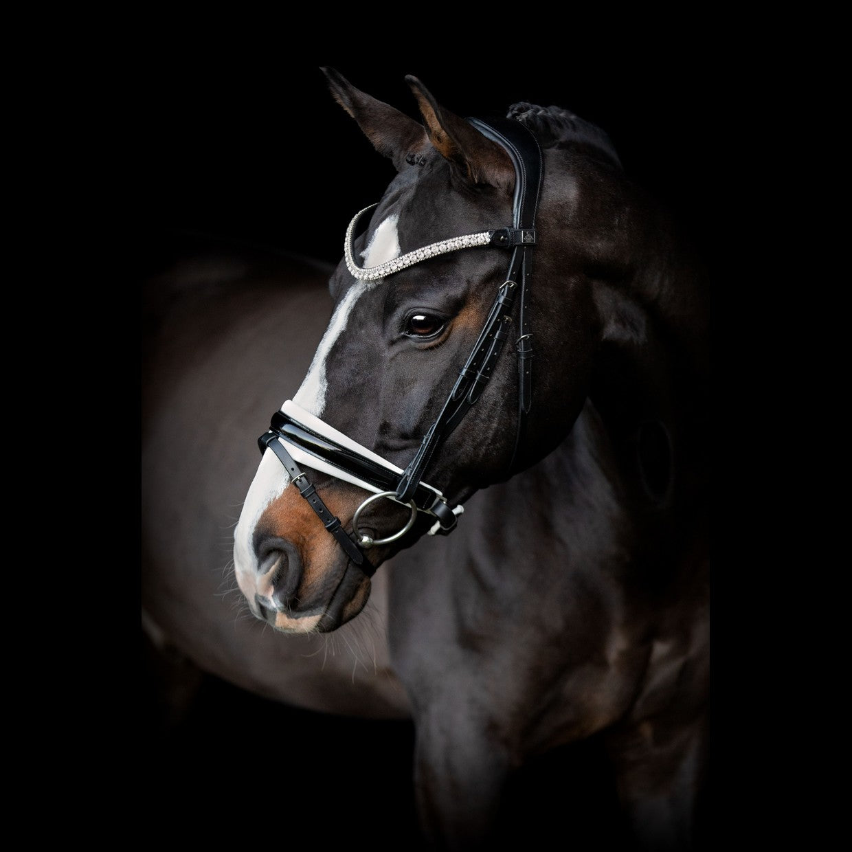 SD Design Stirnband Olymbrio schwarz
