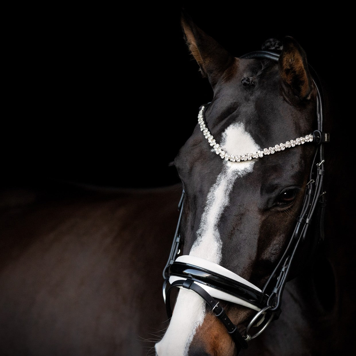 SD Design Headband Romanov
