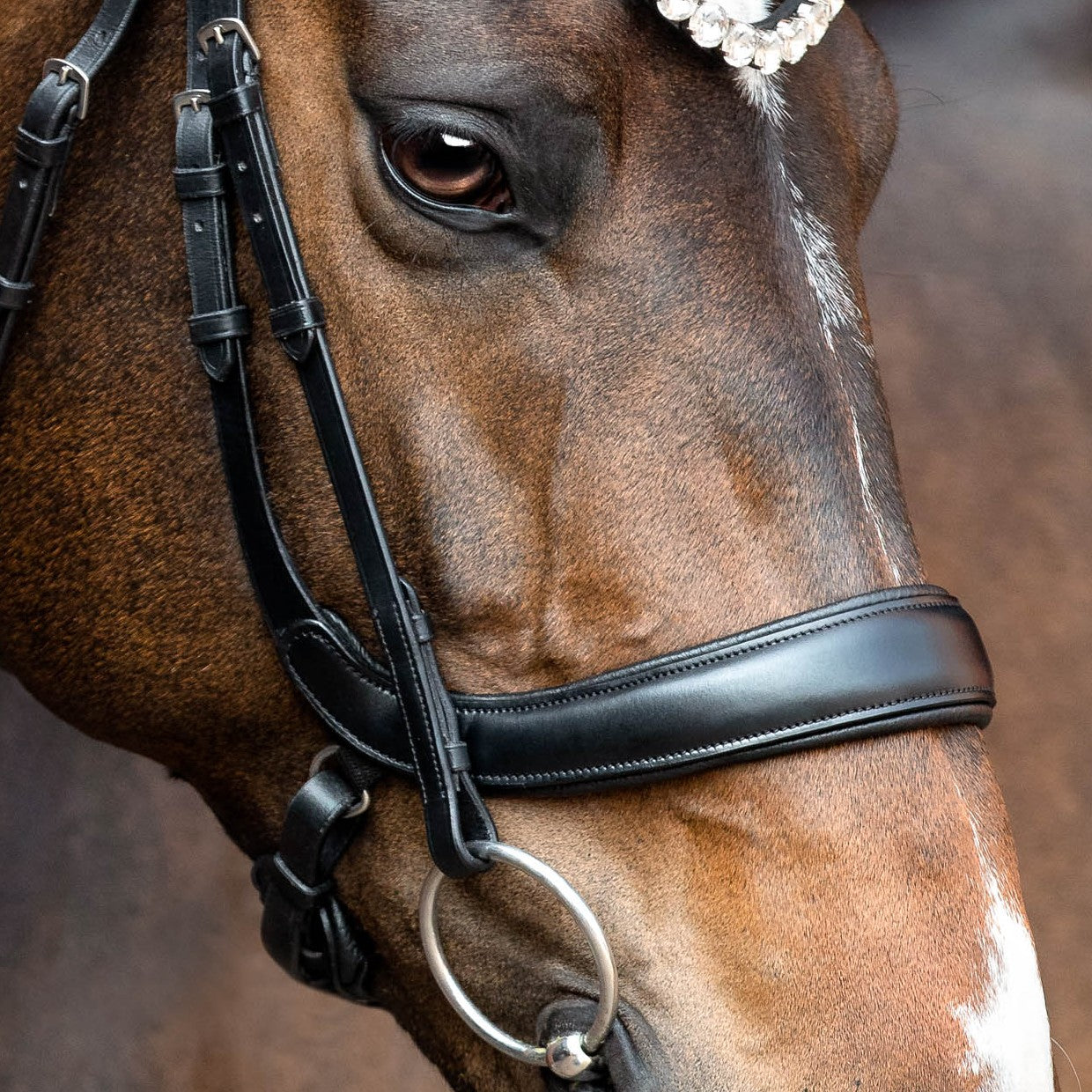 SD Design noseband anatomical without flash strap black