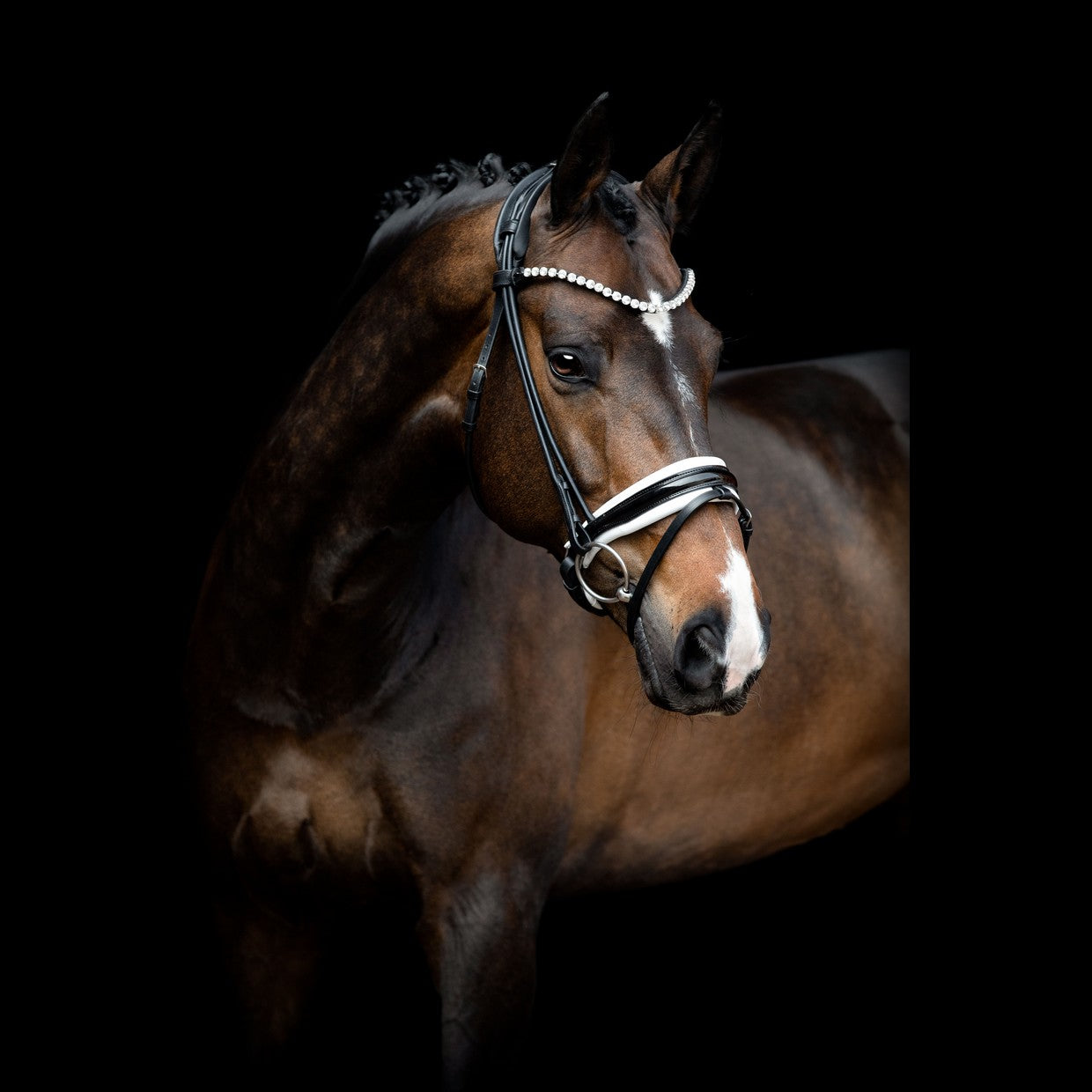 SD Design Bridle Zhivago round stitched black patent leather white lined