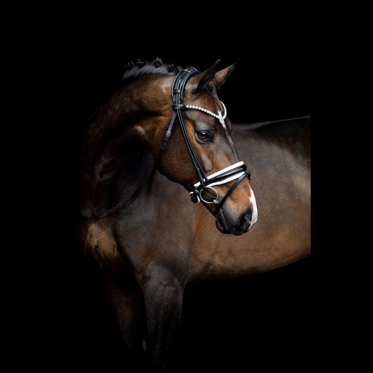 SD Design Bridle Zhivago round stitched black patent leather white lined