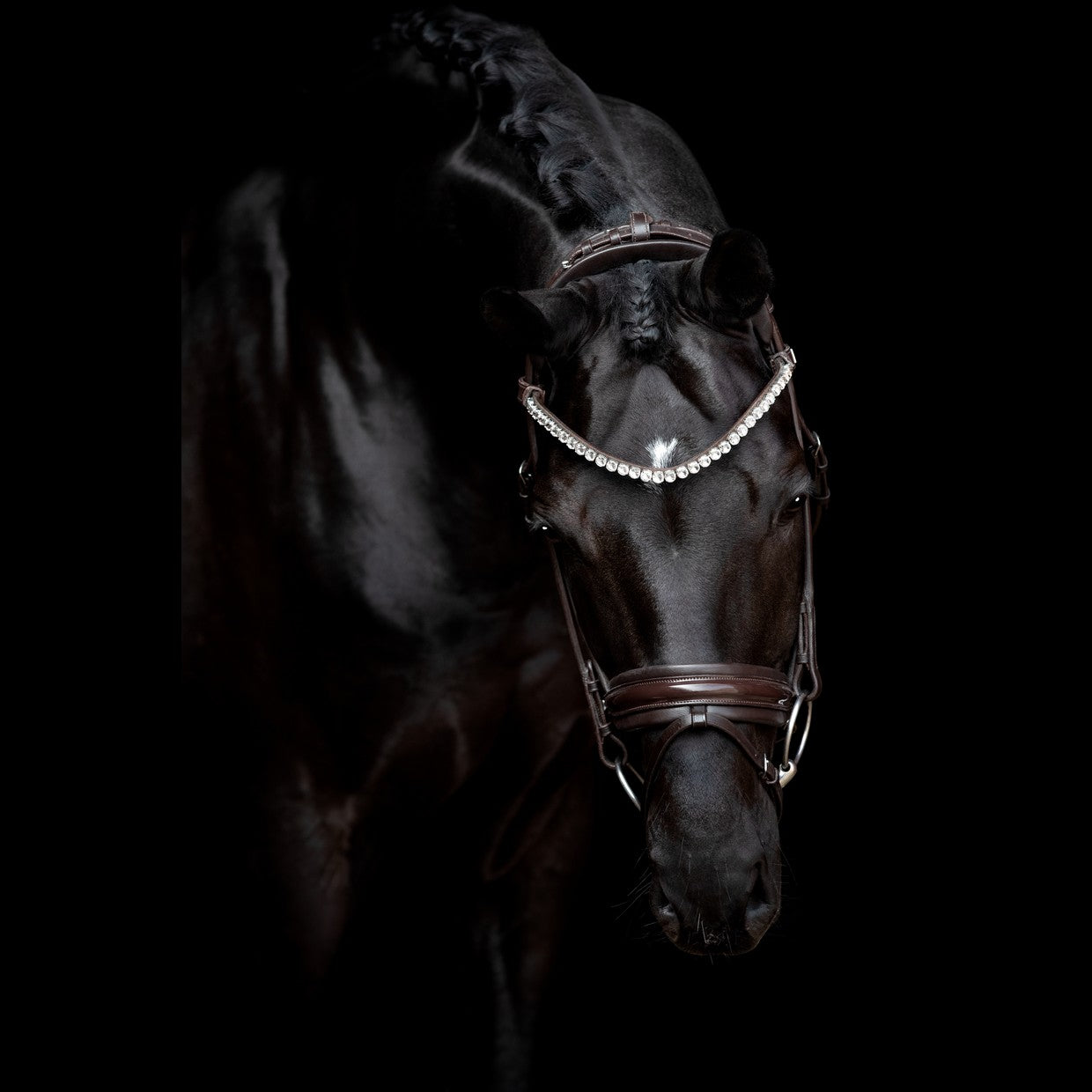 SD Design Bridle Zhivago round stitched brown patent
