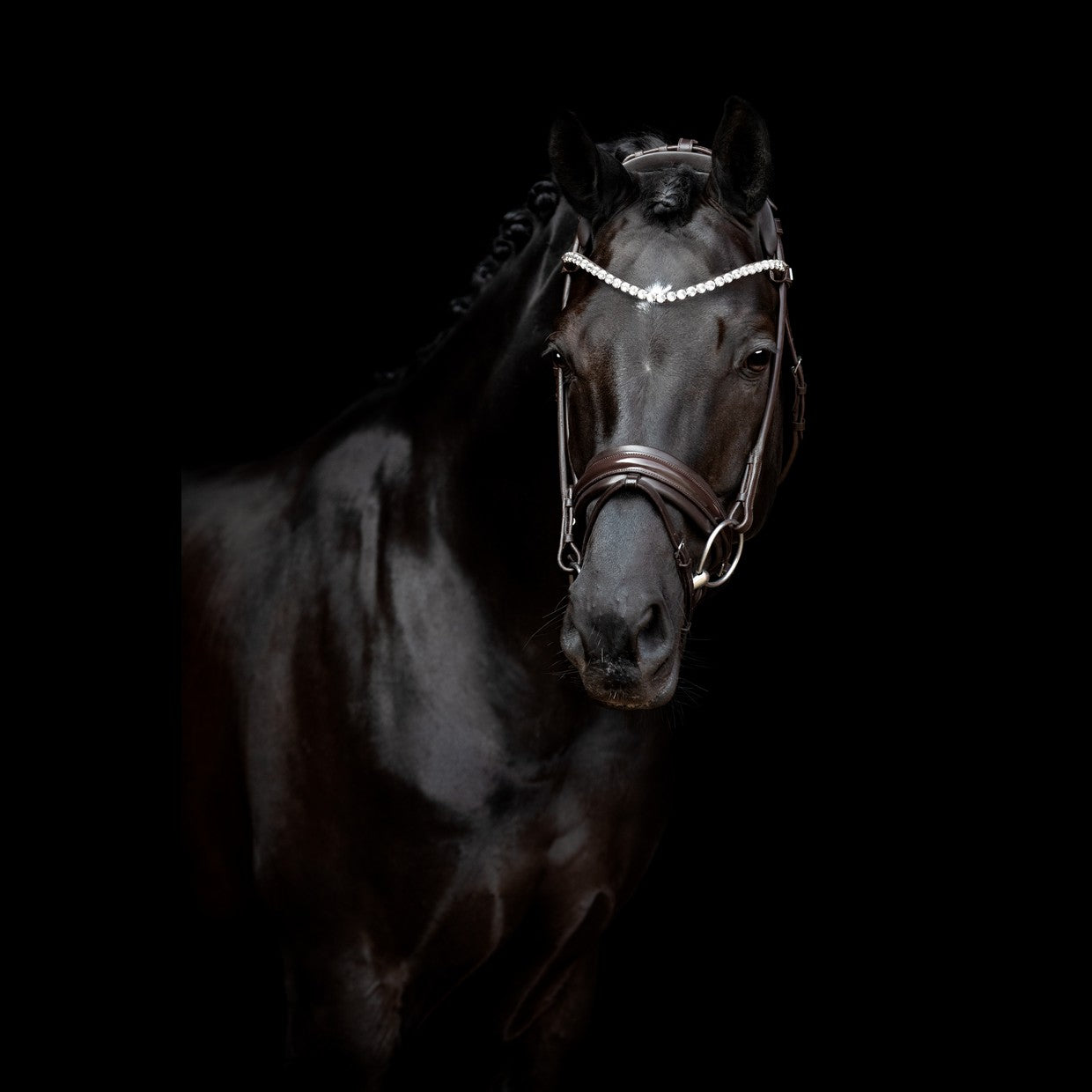 SD Design Bridle Zhivago round stitched brown patent