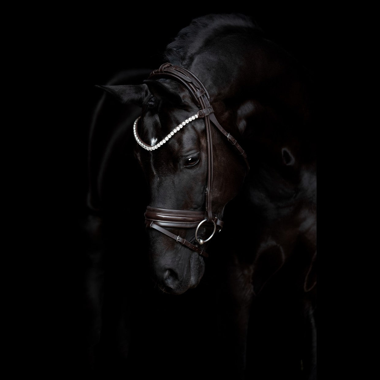 SD Design Bridle Zhivago round stitched brown patent