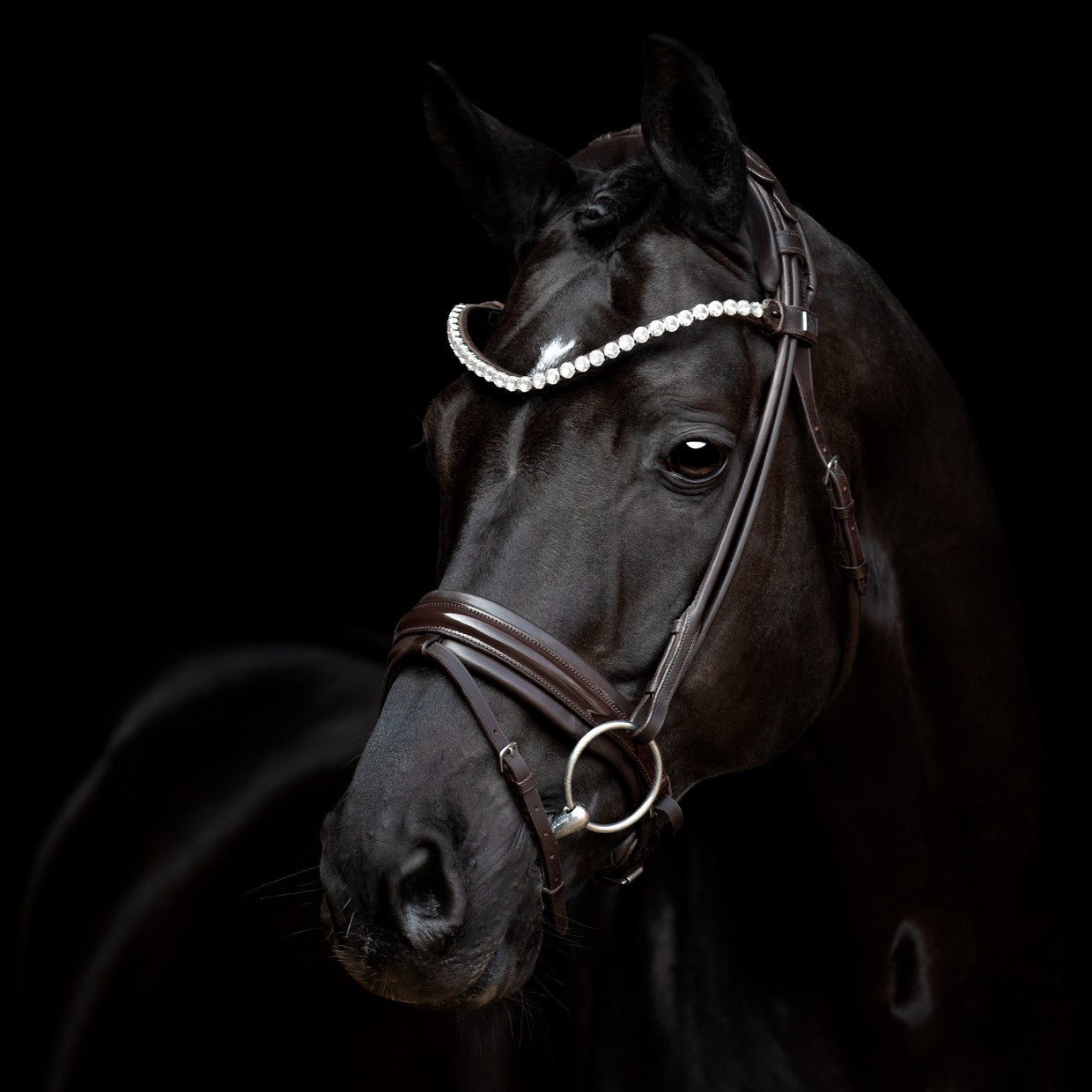 SD Design Bridle Zhivago round stitched brown patent