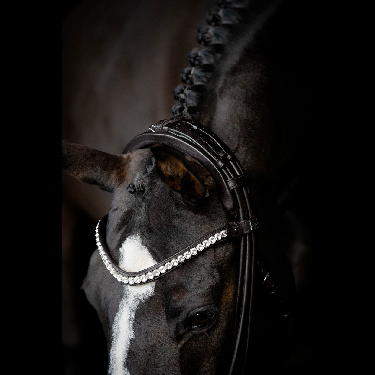 SD Design headpiece extra wide for round-stitched curb bits, black