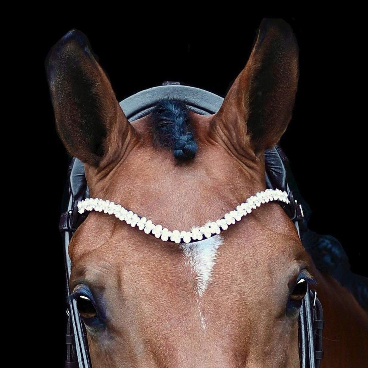 SD Design Bridle Romanov black round stitched white lined