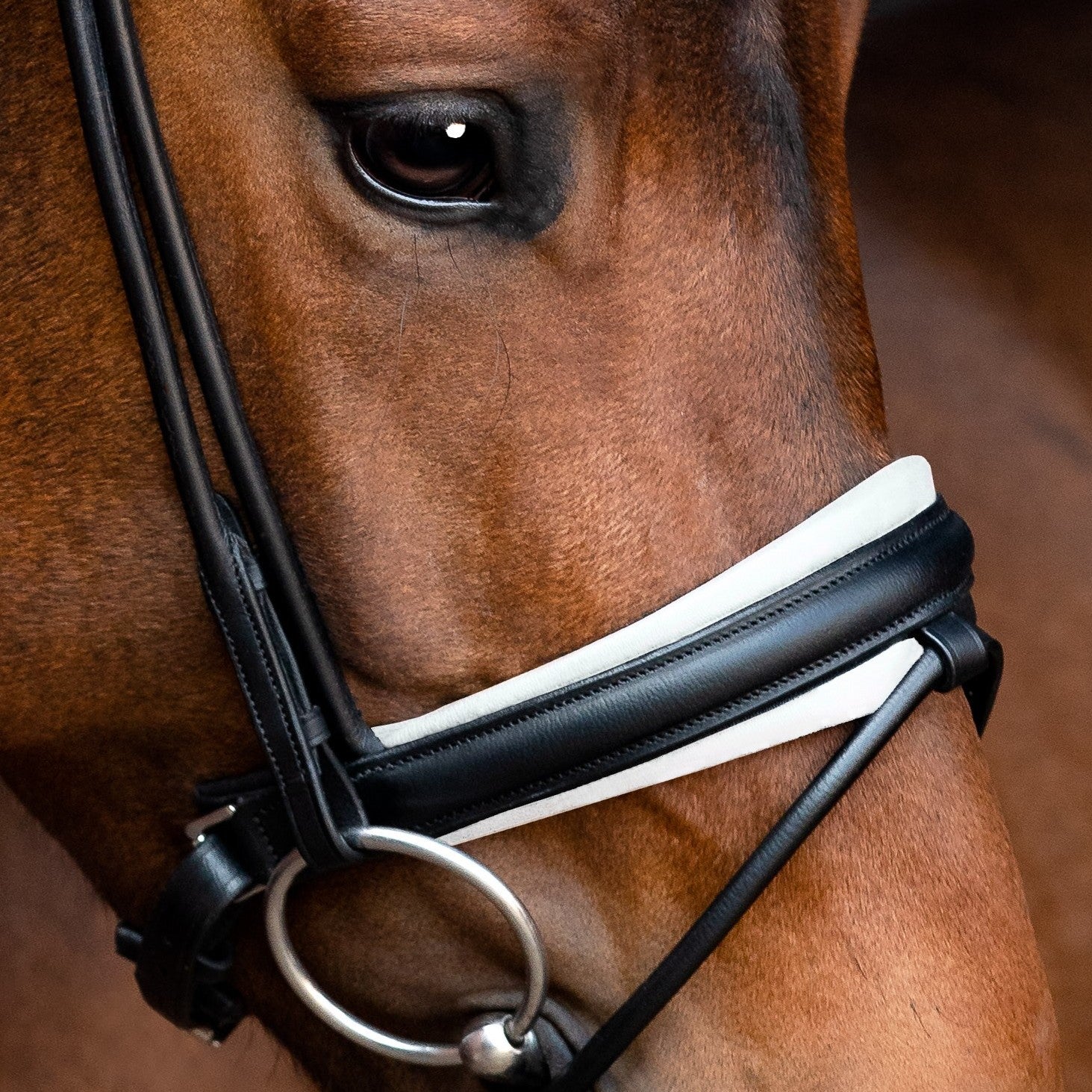 SD Design noseband Swedish combined black round stitched white lined