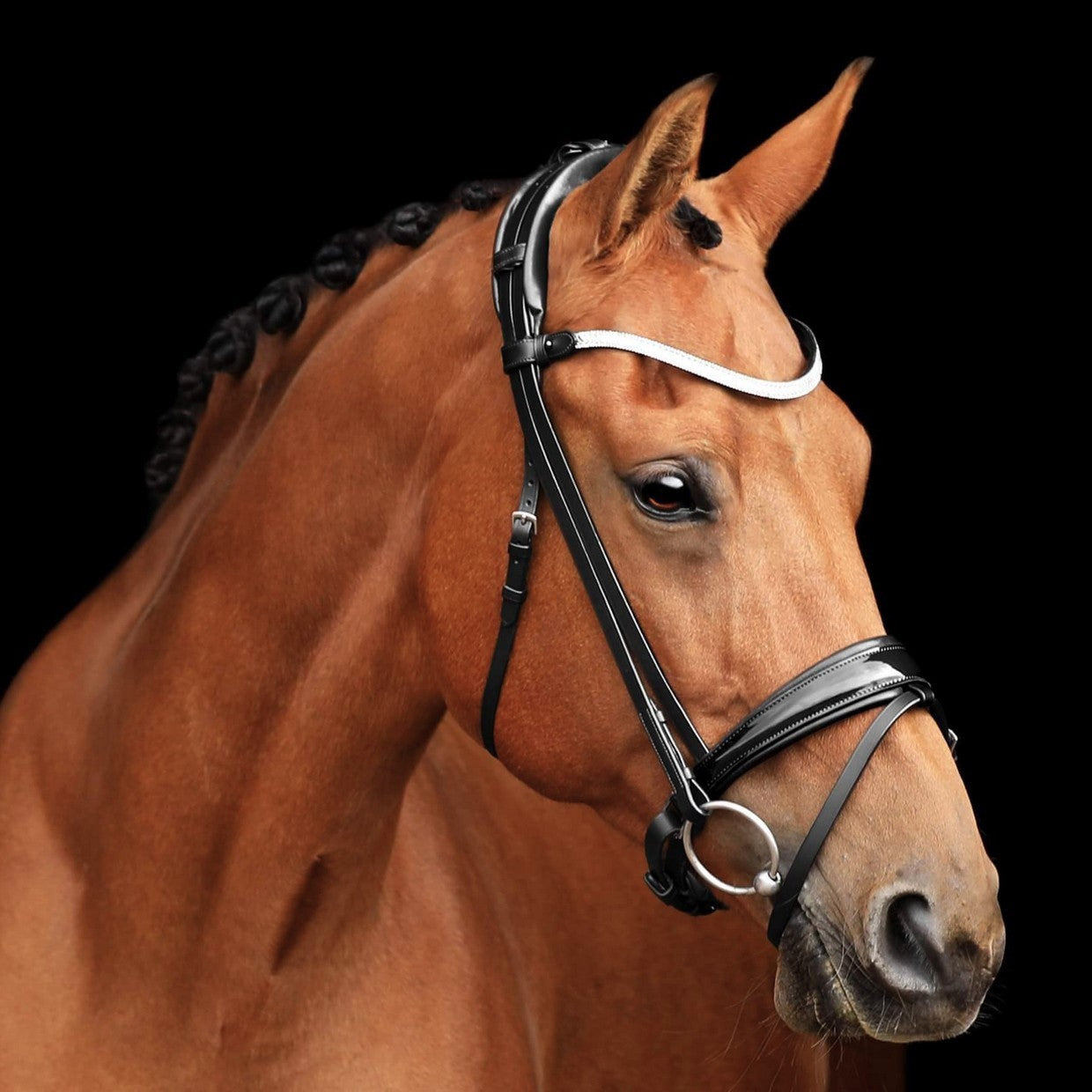 SD Design Bridle Cornetto black patent