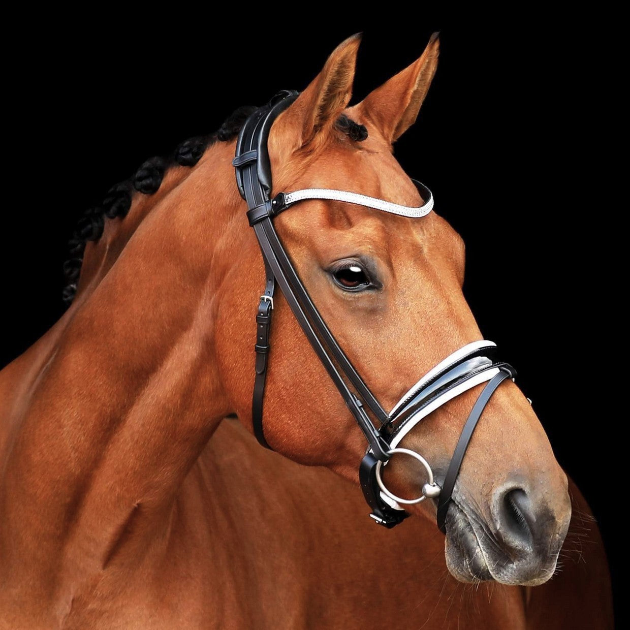 SD Design Bridle Cornetto black lacquer with white lining