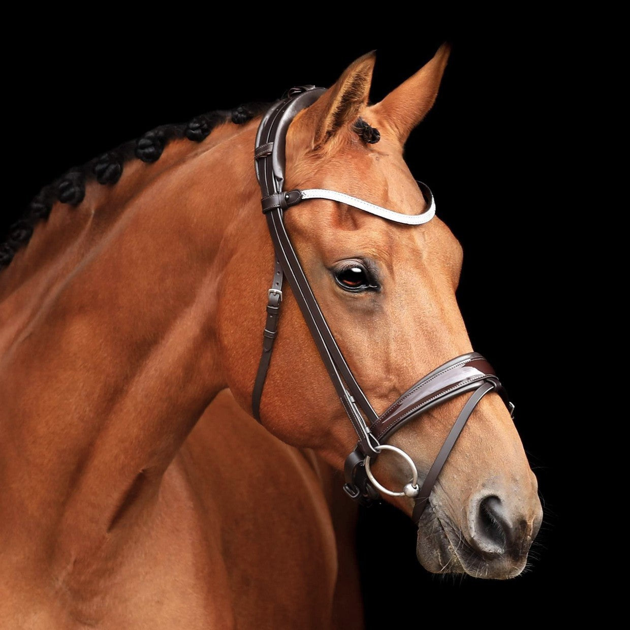 SD Design Bridle Cornetto brown patent