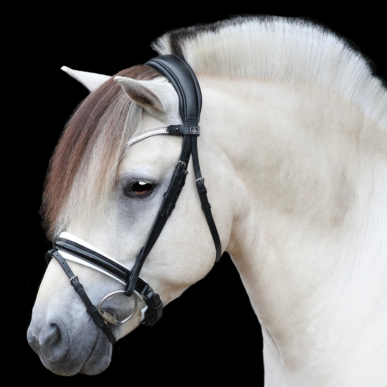 SD Design Bridle Gracieux black patent with white lining