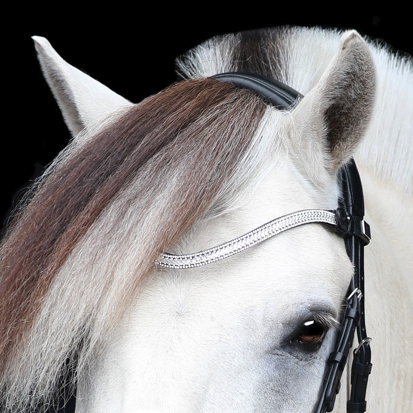SD Design Bridle Gracieux black patent with white lining