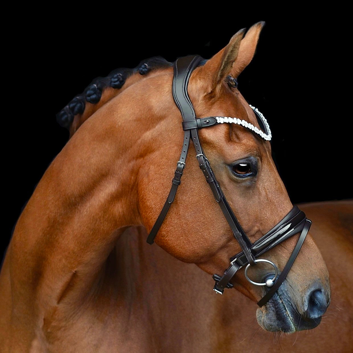 SD Design Bridle Romanov black lacquer