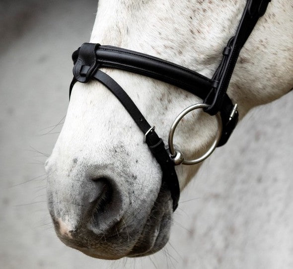 SD Design Leerox English noseband combined with removable flash strap black