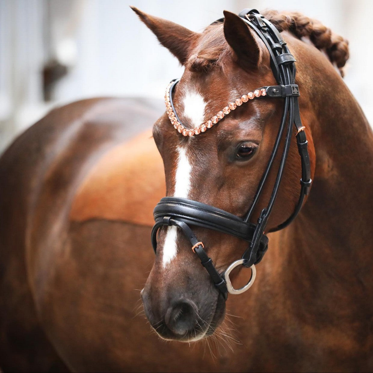 SD Design Bridle Fleur round stitched black with rose gold fittings
