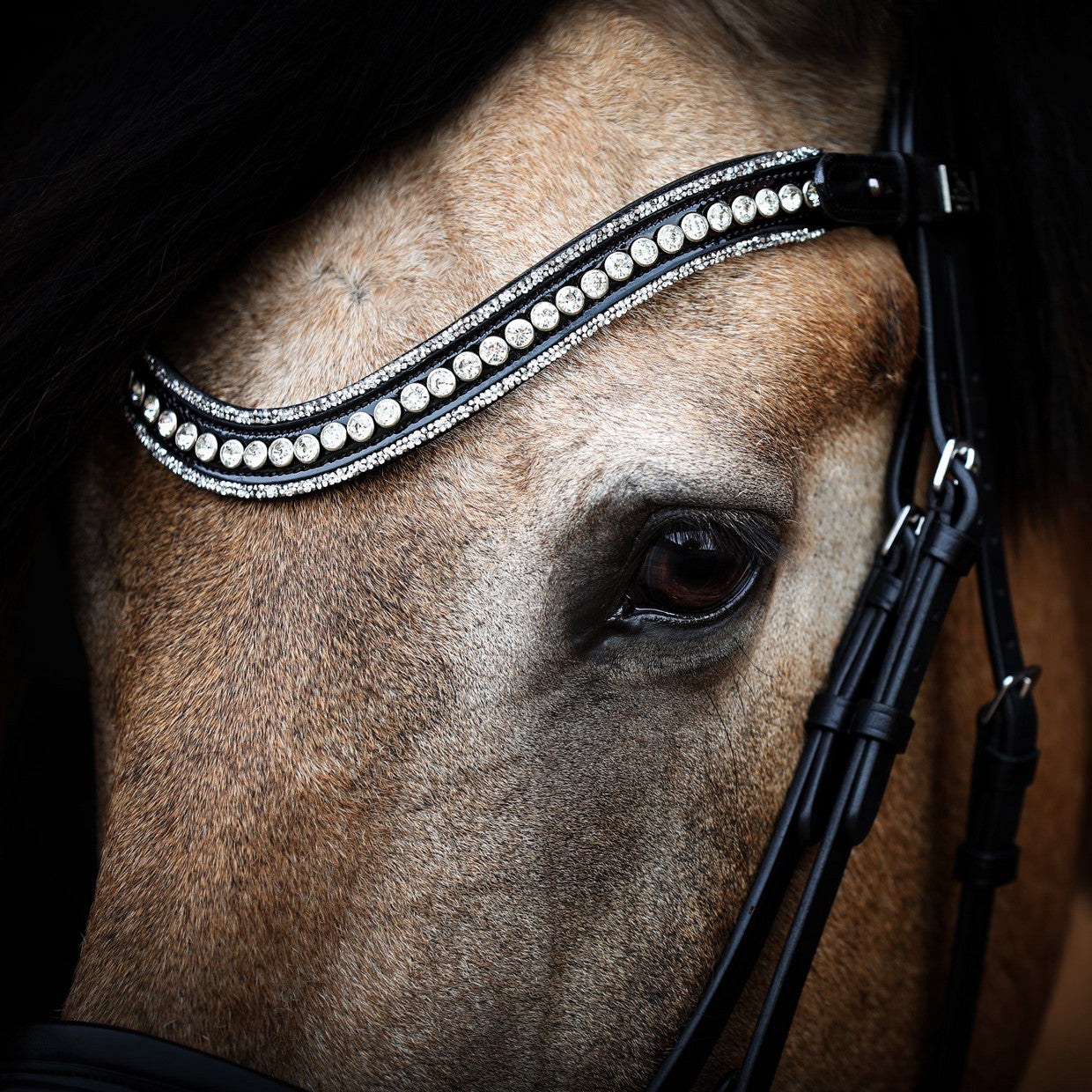 SD Design Headband Diamond Extreme crystal