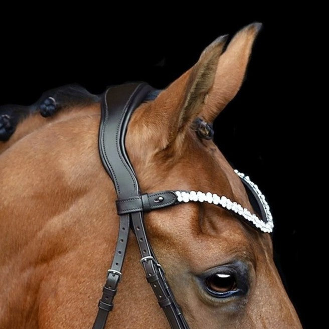 SD Design Anatomic headpiece with memory pad