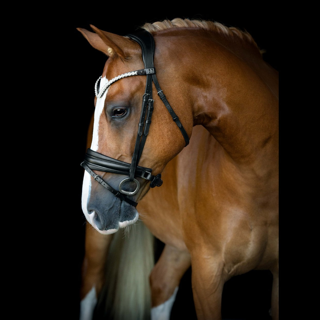 SD Design Bridle L&