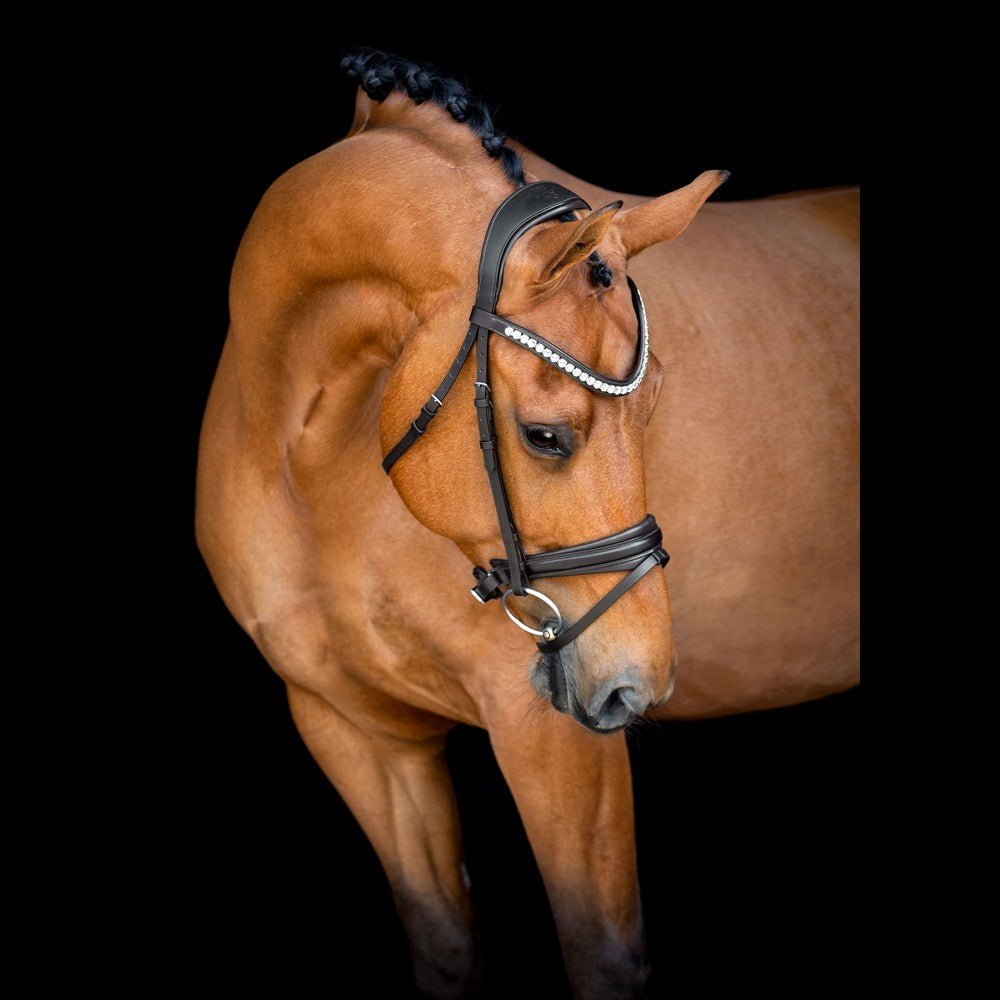 SD Design Bridle Belissimo black