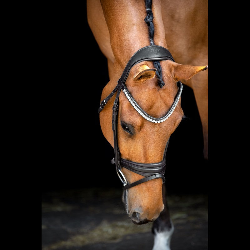 SD Design Bridle Belissimo black