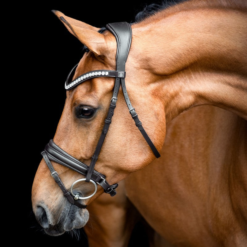 SD Design Bridle Belissimo black