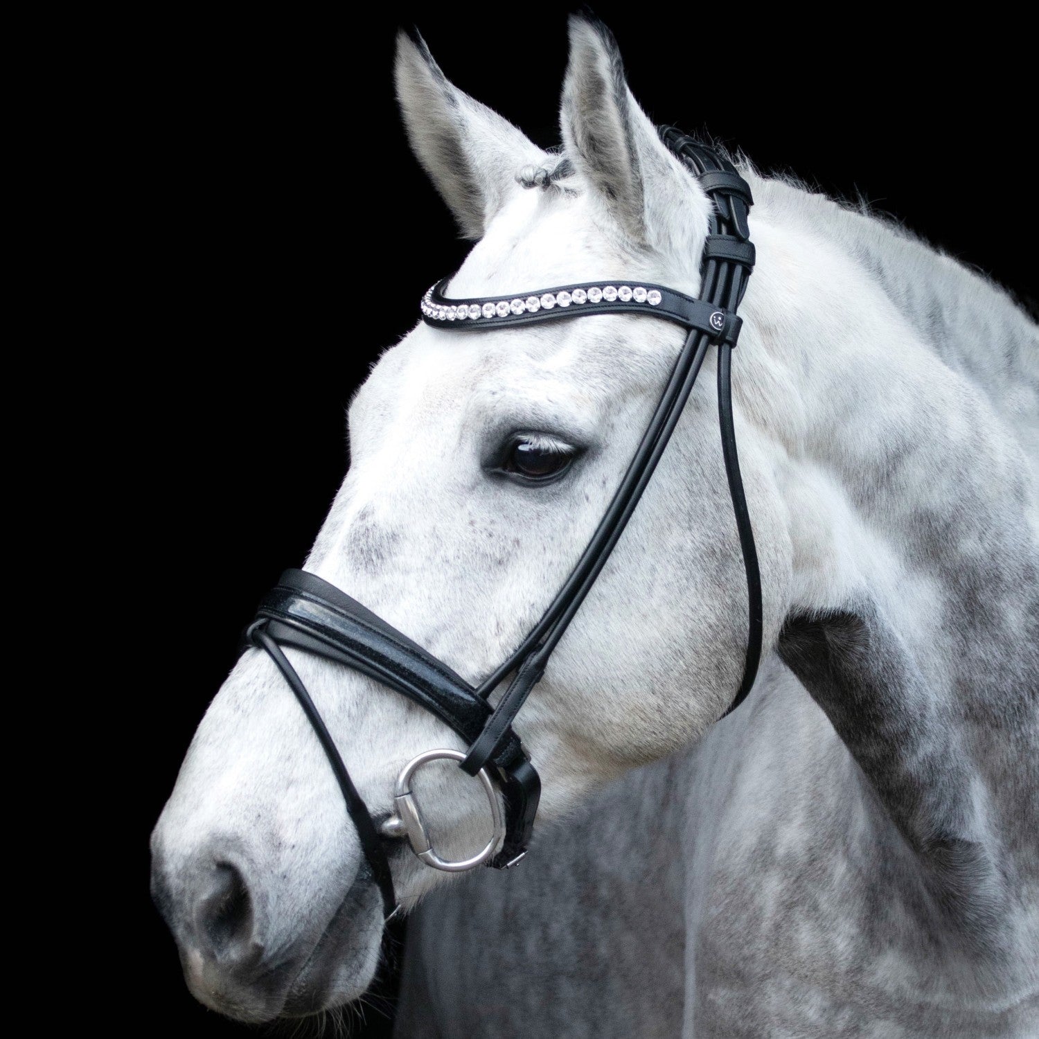 SD Design Bridle Mystery round stitched black glitter varnish black lining