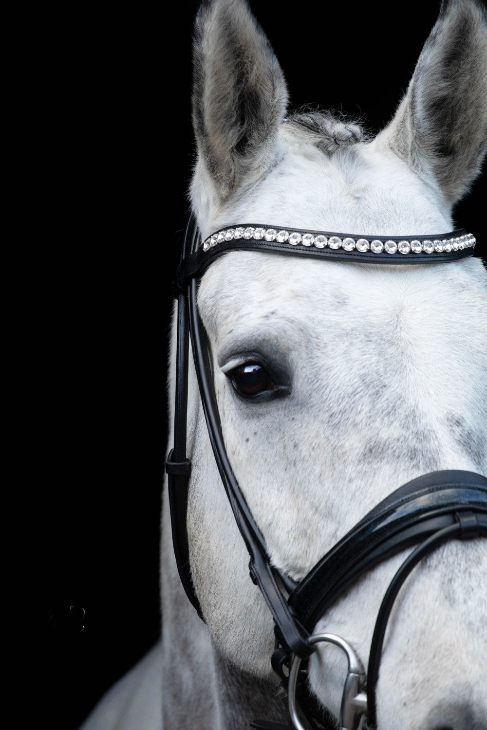 SD Design Bridle Mystery round stitched black glitter varnish black lining