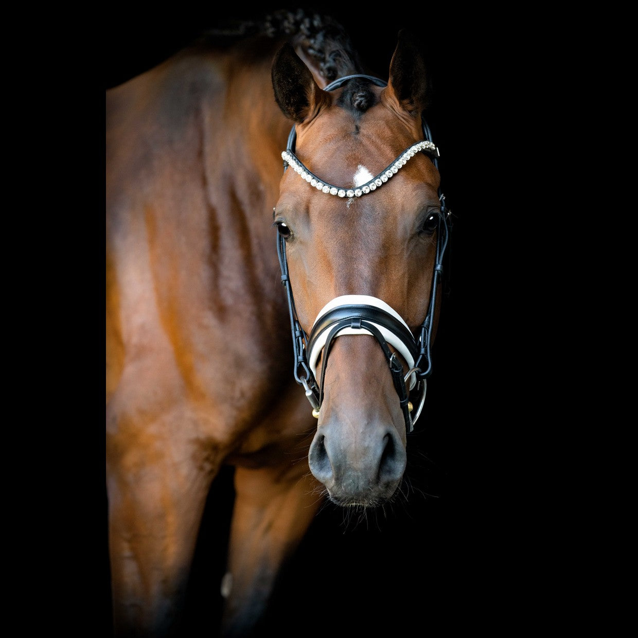 SD Design Bridle L&