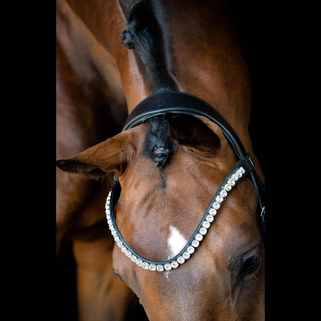 SD Design Bridle L&