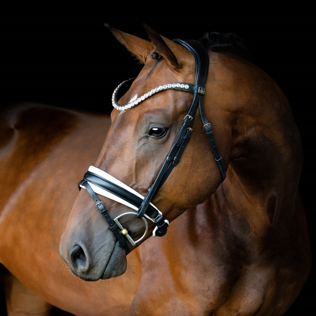 SD Design Bridle L&