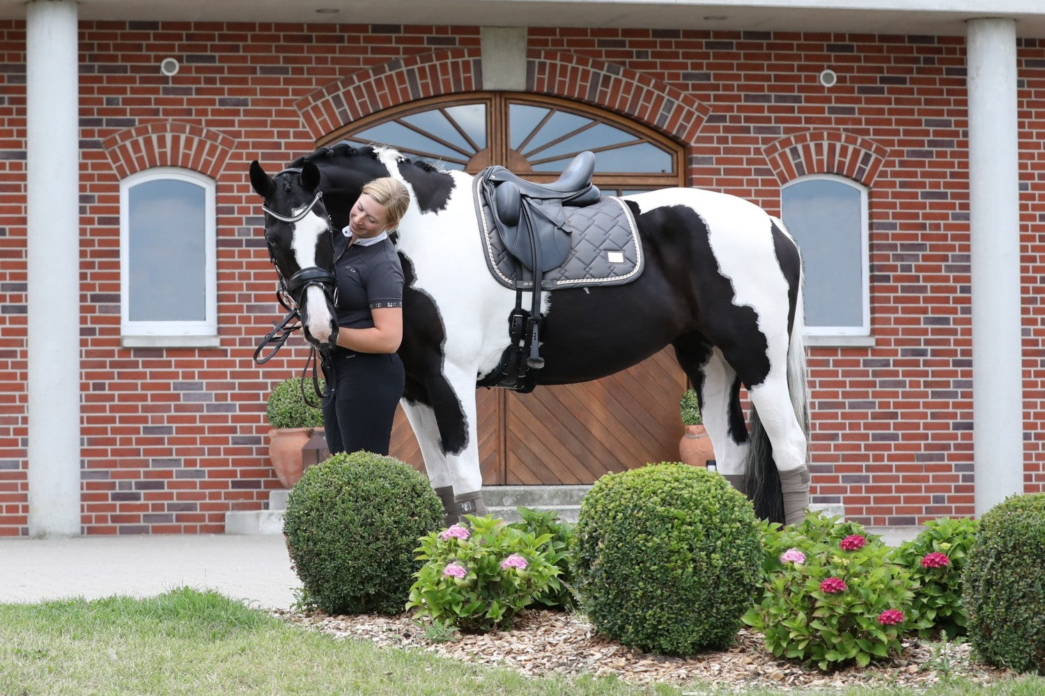 SD Design saddle pad GEM Collection silver