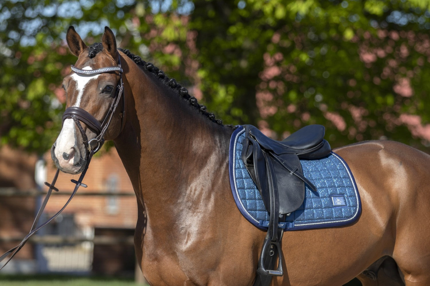 SD Design saddle pad Hollywood Glamorous blueberry twinkles