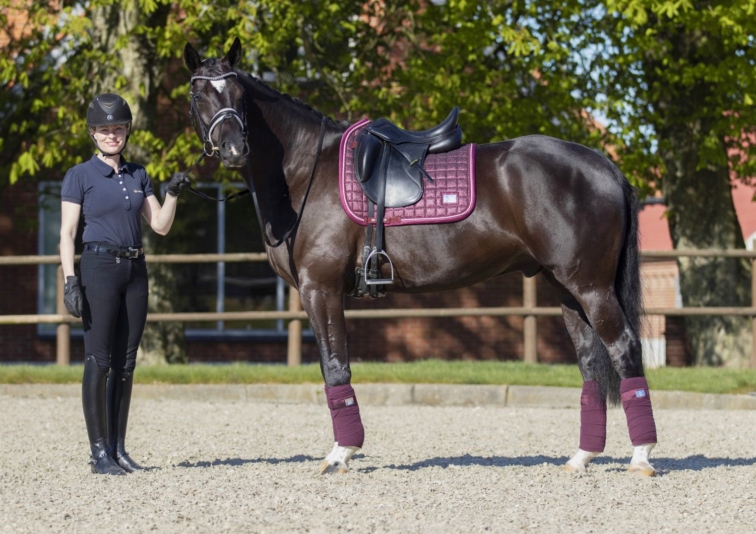 SD Design saddle pad Hollywood Glamorous raspberry shimmer